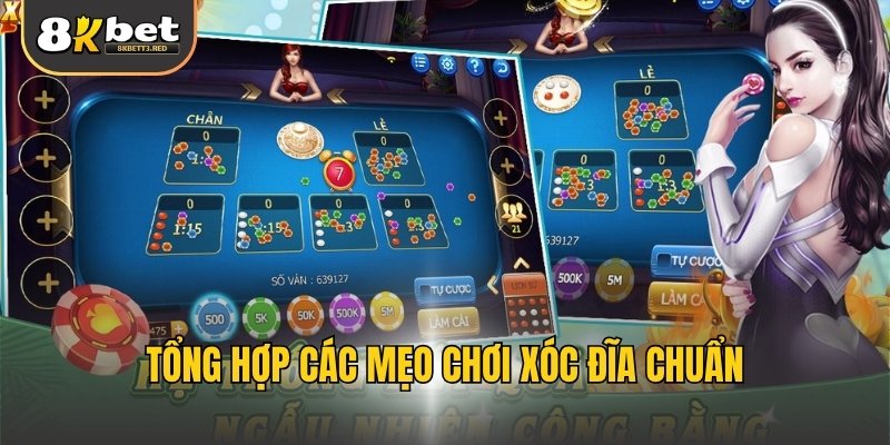 Tổng hợp các mẹo chơi xóc đĩa chuẩn